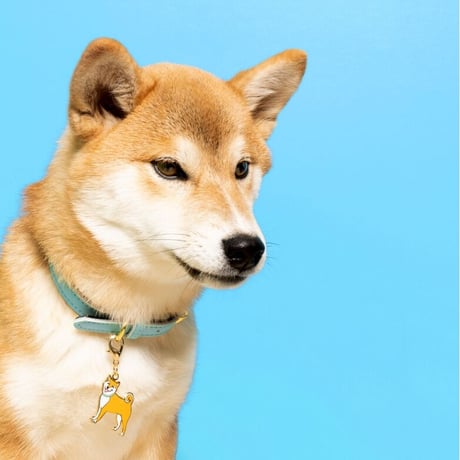 Coucou Suzette / Dog key tag