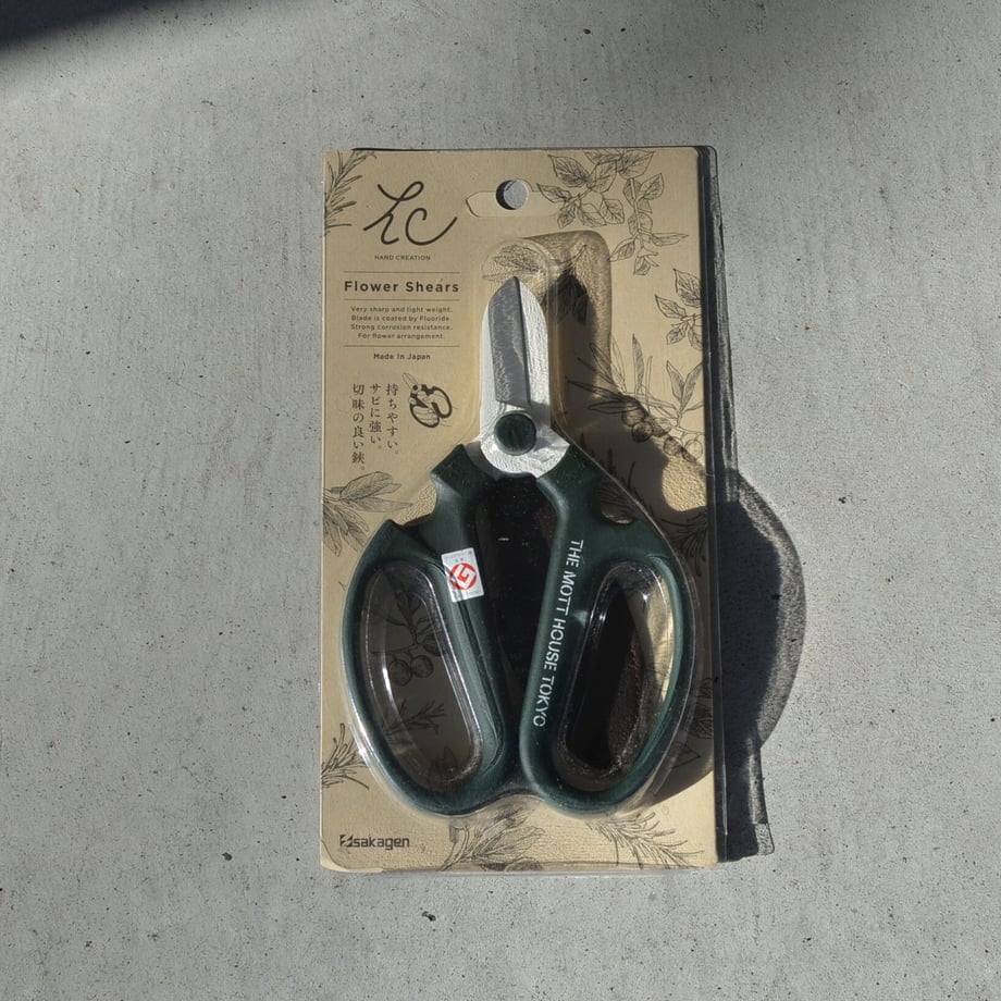 6205dfa7c15c5a4098e20462