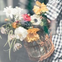 MHT photo vol.2