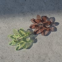 VALET STUDIO / Biscus Clip