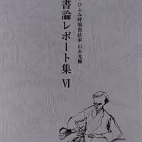 写真集 「山本光輝 光の書 Calligraphy with aura」 | 光輝書法