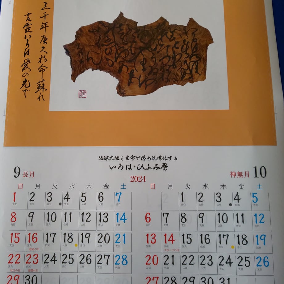 654fdf1591832505829fa263