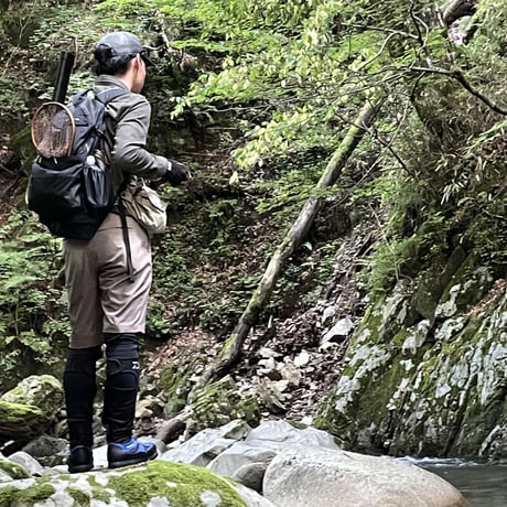 Mountain Owls / StreamZERO