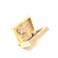 INOUE DESIGN / TENKARA毛鉤ケース