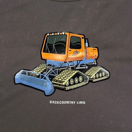 【USED】00's NIKE ACG "Backcountry Limo" L/S T-shirt