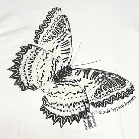 【USED】90's Cethosia hypsea hypsea RESIZED T-SHIRT