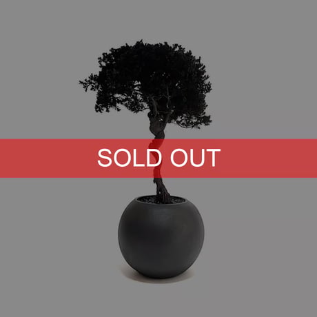 【DRY BONSAI for KONBINI】SHADOW BLACK DRY BONSAI (No.4)