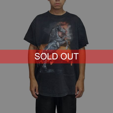 【USED】90'S THUNDER BEHIND THE HORSE T-SHIRT