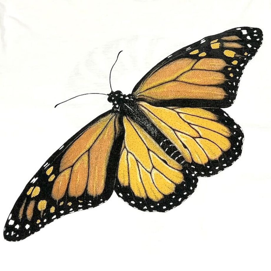 62da651c9b47bf0cff1fd8c4