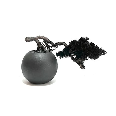 【DRY BONSAI for KONBINI】SHADOW BLACK DRY BONSAI (No.3)