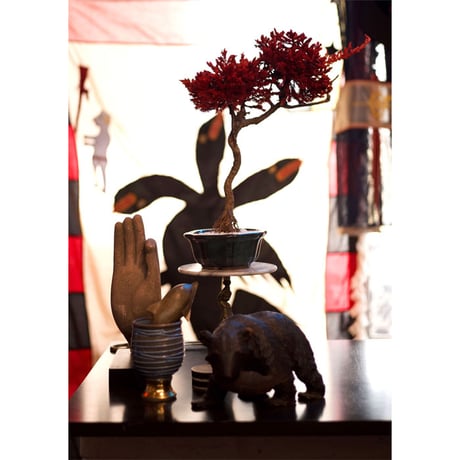 【DRY BONSAI for KONBINI】黒松×ハイビャクシンオーレア DRY BONSAI (No.10)