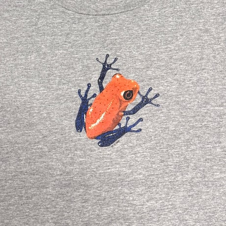 【USED】90's Poison Dart Frog T-shirt