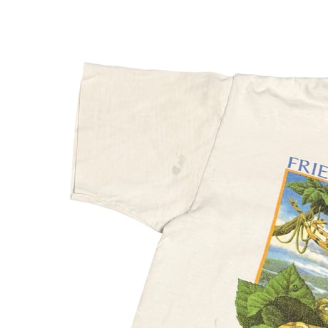 【USED】90's Human-i-Tees “FRIENDS IN HIGH PLACES” Organic Acid Frog T-shirt
