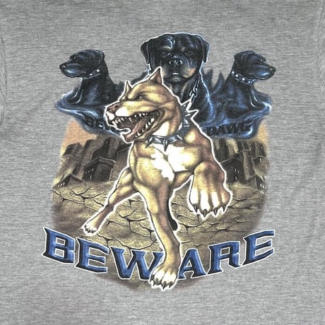 【USED】90'S-00'S CRUIZIN LOW "BE WARE" T-SHIRT