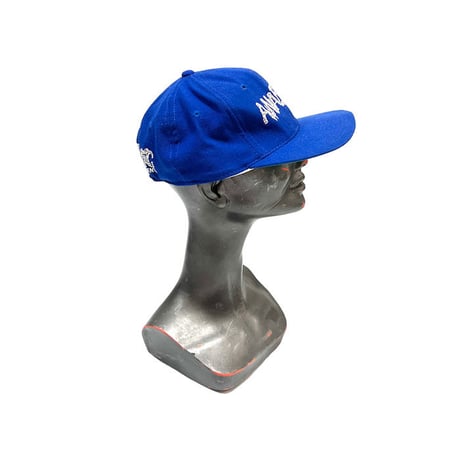 【USED】90'S ANARCHIC ADJUSTMENT 6-PANEL CAP BLUE