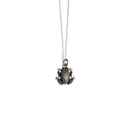 【USED】Vintage SILVER FROG NECKLACE