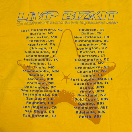 【USED】00's LIMP BIZKIT Chocolate Starfish & The Hot Dog Flavored Water TOUR T-SHIRT