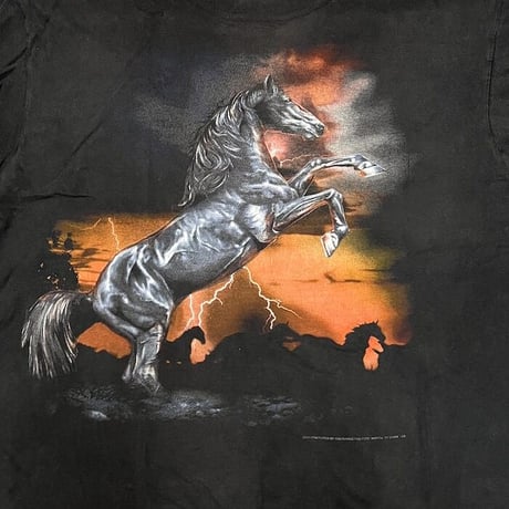 【USED】90'S THUNDER BEHIND THE HORSE T-SHIRT