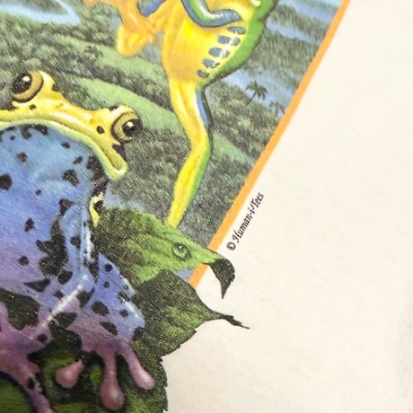 【USED】90's Human-i-Tees “FRIENDS IN HIGH PLACES” Organic Acid Frog T-shirt