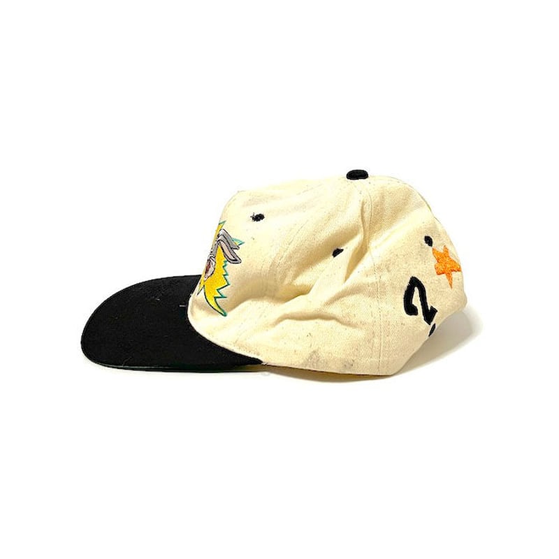 90s USA製 キャップ Looney Tunes J. Frog 古着 ACME CLOTHING 90年代 USA製 WARNER BROTHERS ワーナー
