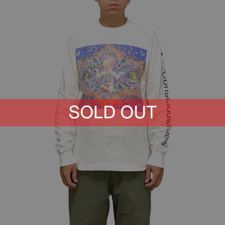 【USED】90'S ANARCHIC ADJUSTMENT ULTIMATE REALITY L/S T-SHIRT