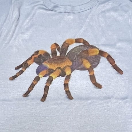 【USED】70'S SPIDER T-SHIRT