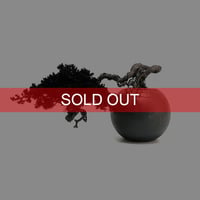 【DRY BONSAI for KONBINI】SHADOW BLACK DRY BONSAI (No.3)