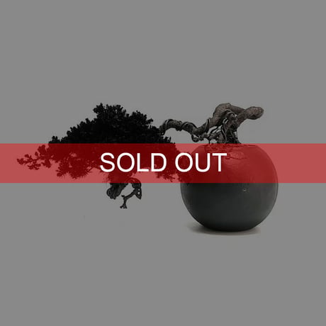 【DRY BONSAI for KONBINI】SHADOW BLACK DRY BONSAI (No.3)
