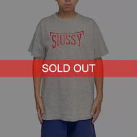【USED】90's-00's STUSSY Arch Logo T-shirt Gray