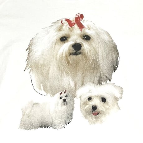 【USED】90'S MALTESE T-SHIRT
