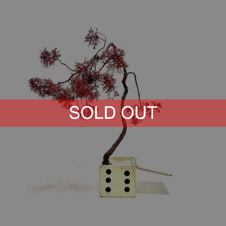 【DRY BONSAI for KONBINI】VINTAGE DICE BOX DRY BONSAI (No.6)