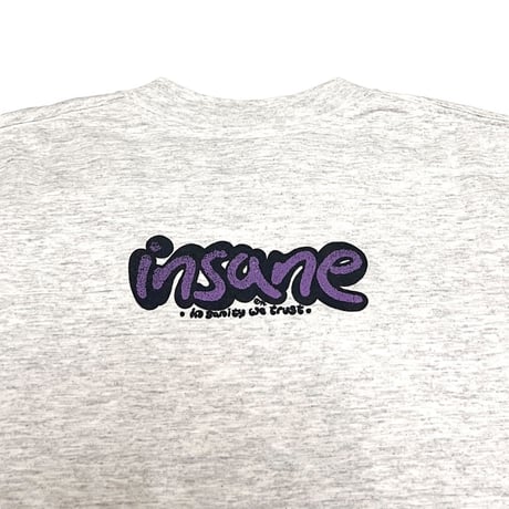 【USED】90's insane Look into my eyes T-SHIRT GRAY