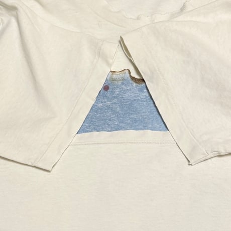 【USED】90's PINK FLOYD Wish You Were Here T-SHIRT