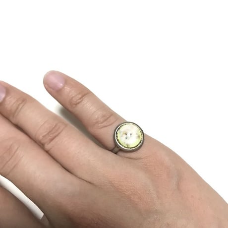 【USED】CAT CABOCHON RING RAGDOLL
