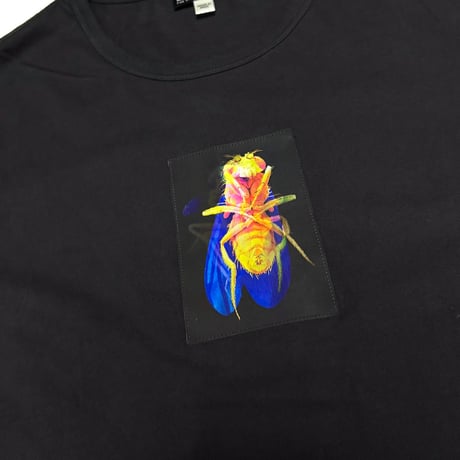 【USED】00's DIESEL LENTICULAR CICADA T-SHIRT