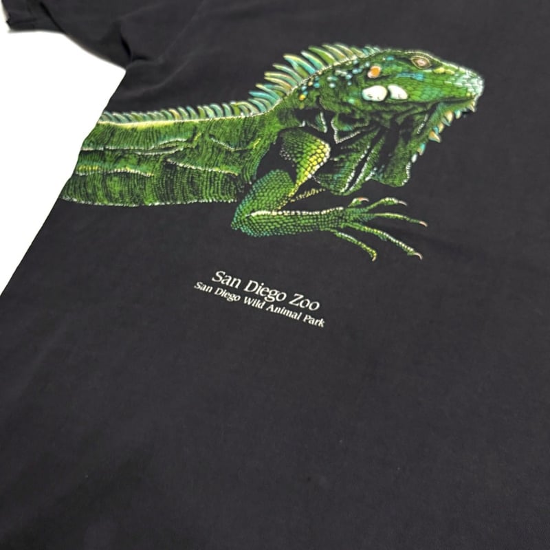 洋書 グリーンイグアナ IGUANAS QUARTERY 洋書 グリーンイグアナ