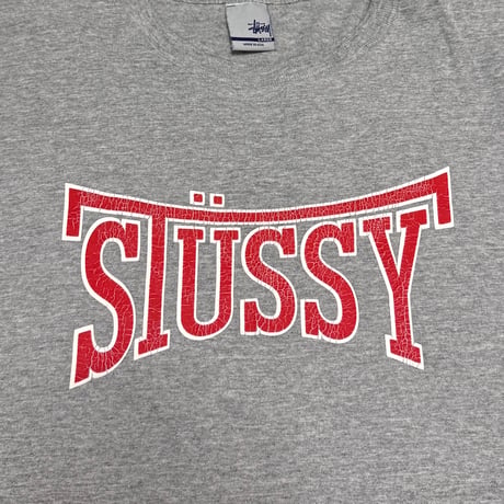 【USED】90's-00's STUSSY Arch Logo T-shirt Gray