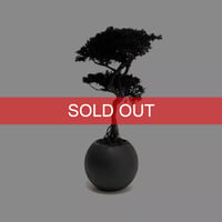 【DRY BONSAI for KONBINI】SHADOW BLACK DRY BONSAI (No.1)
