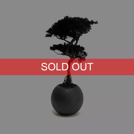 【DRY BONSAI for KONBINI】SHADOW BLACK DRY BONSAI (No.1)