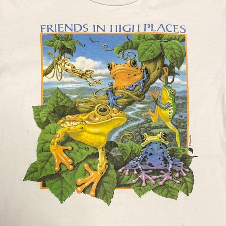 【USED】90's Human-i-Tees “FRIENDS IN HIGH PLACES” Organic Acid Frog T-shirt