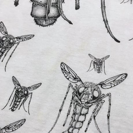 【USED】90'S OKLAHOMA MOSQUITO T-SHIRT