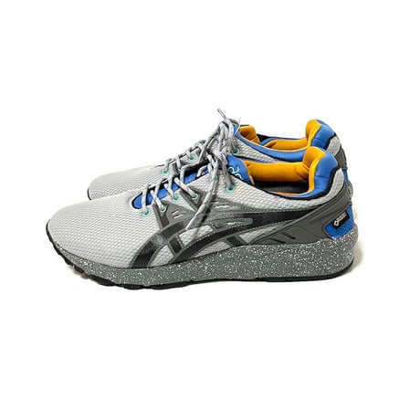 【DEAD STOCK】ASICS GEL KAYANO TRAINER EVO G-TX GREY
