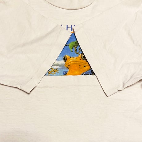 【USED】90's Human-i-Tees “FRIENDS IN HIGH PLACES” Organic Acid Frog T-shirt