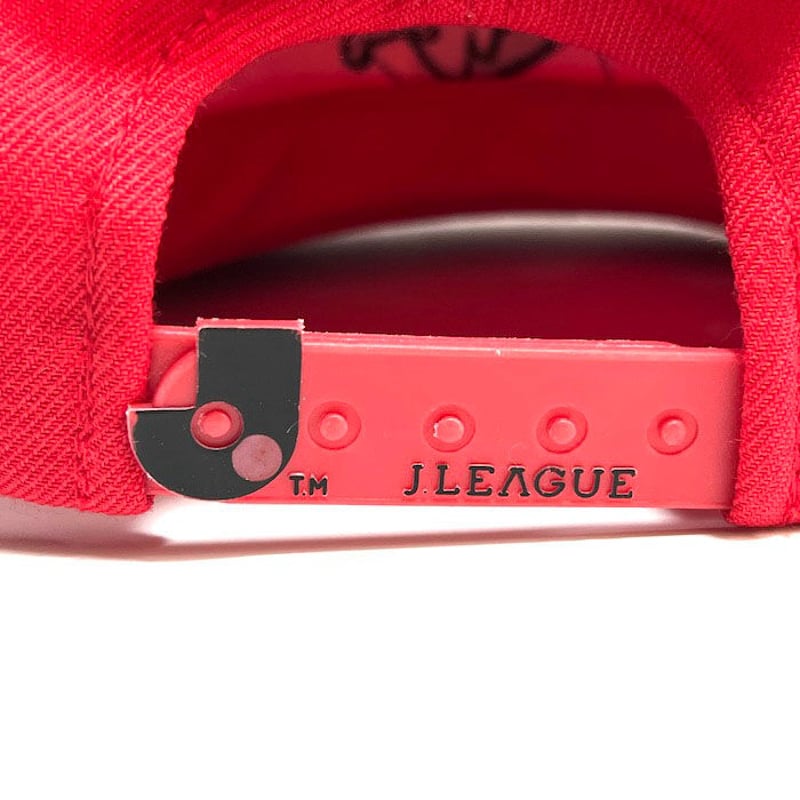 【新品未使用・即発送】VAKT. CAP I /BURGUNDY Amazon | KN企画 ライブディオZX LIVEDIOZX ユーロタイプ