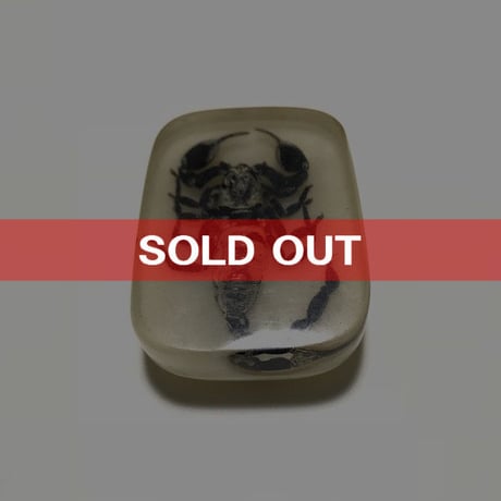 【USED】SCORPION IN CLEAR LUCITE RESIN PAPERWEIGHTS