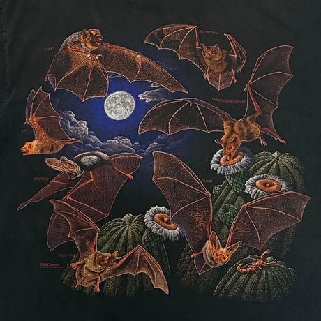 【USED】90's Glenwood Caverns BAT T-SHIRT