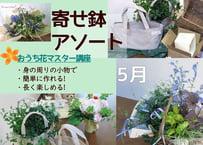 【おうち花マスター講座】5月　苗もので作る簡単フラワーアレンジ～寄せ鉢アソート