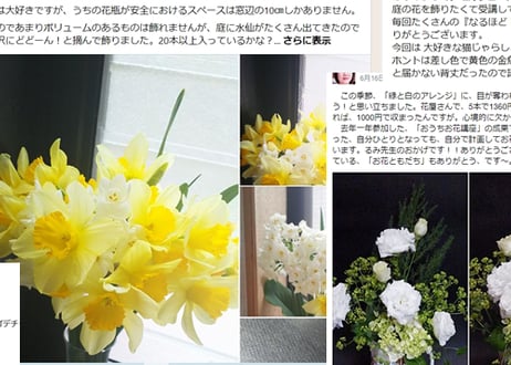 【おうち花入門 オンライン動画講座】