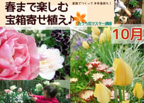 【おうち花マスター講座】１０月　春まで６カ月間楽しむ♪宝箱寄せ植え