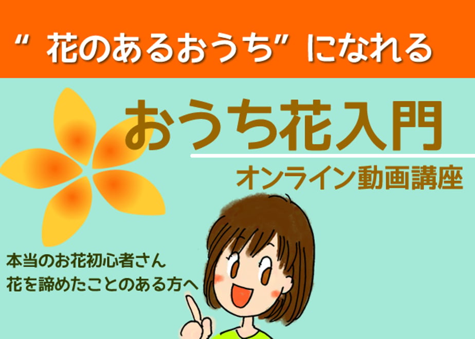 618f5abf54ddd8501c625d0b